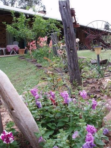 Twilight Grove Farm Bed & Breakfast Esk ภายนอก รูปภาพ